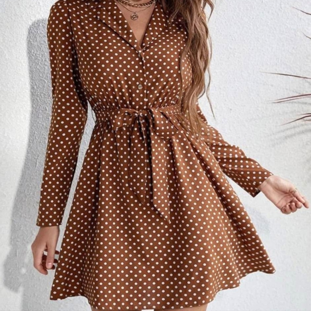 Brown Polka Dot Dress